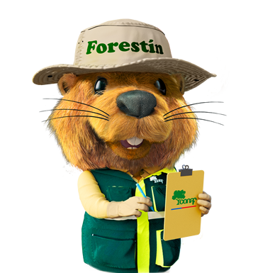 Forestin